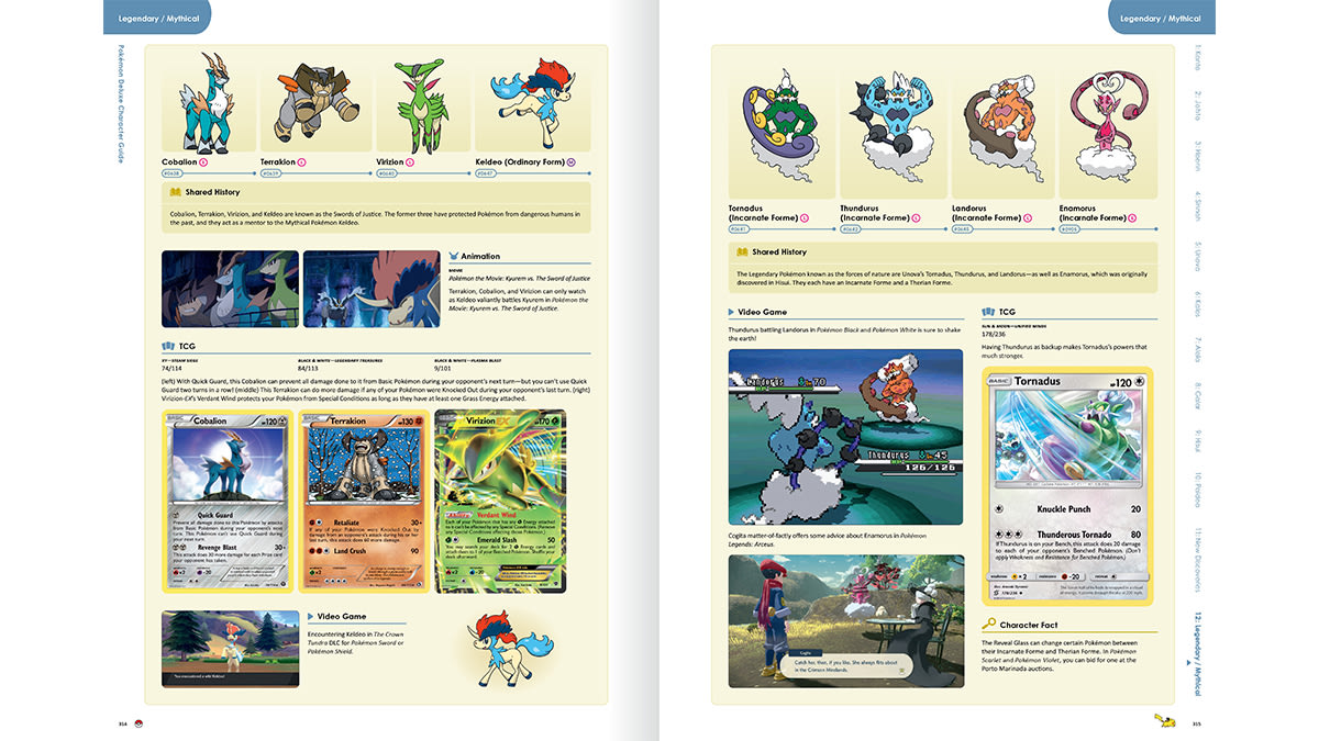 Pokémon™ Deluxe Character Guide Limited Edition Box Set Collection